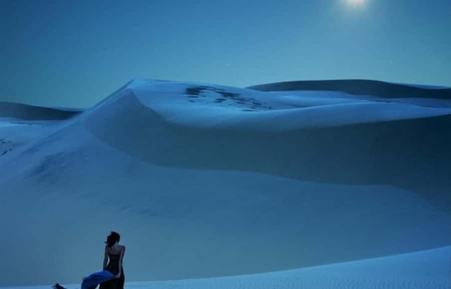 Doha: Night Desert Safari, Stargazing, Dune Driving &Inland - What makes the guides important