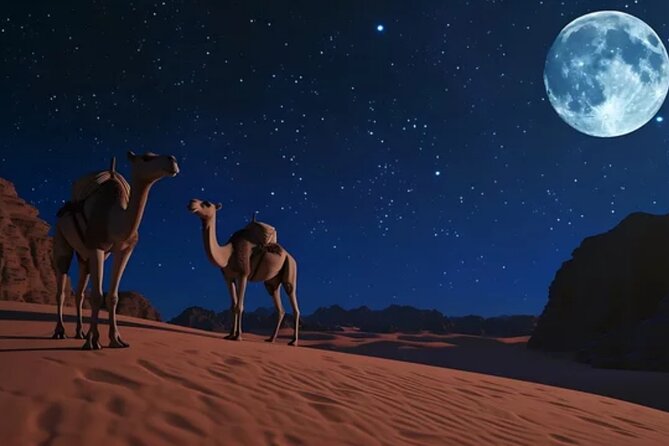 Doha Night Desert Safari, Stargazing, Photography، Relaxation - What the $77.50 price gives you
