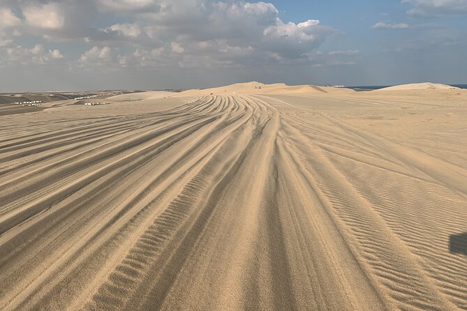 Doha : Night Desert Safari | Transit Safari | Camel ride | Dune Bashing - Is $59 a fair price?