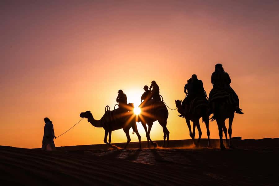 Doha: Night Desert Safari with Camel Ride and Sandboarding - Key points at a glance