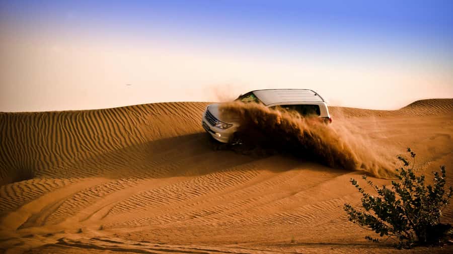 Doha: Night Desert Safari with Camel Ride and Sandboarding - From Doha to Qatar’s open desert