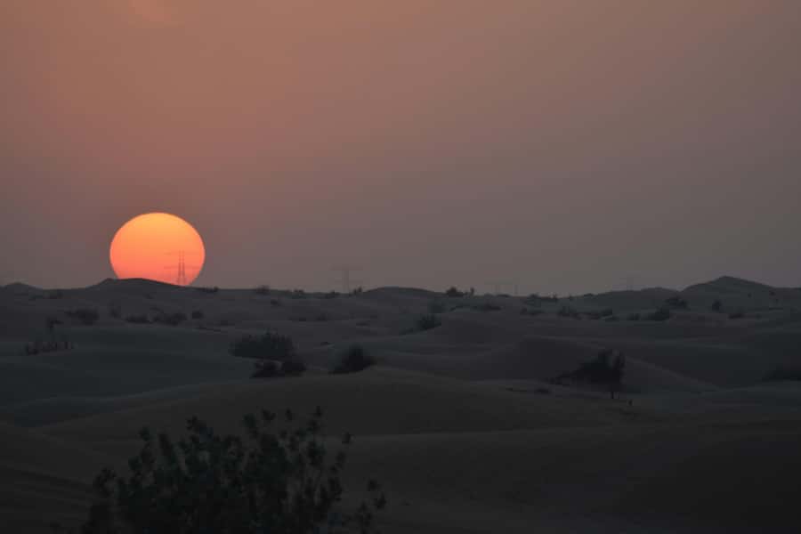 Doha: Night Desert Safari with Camel Ride and Sandboarding - Forty minutes of dune bashing