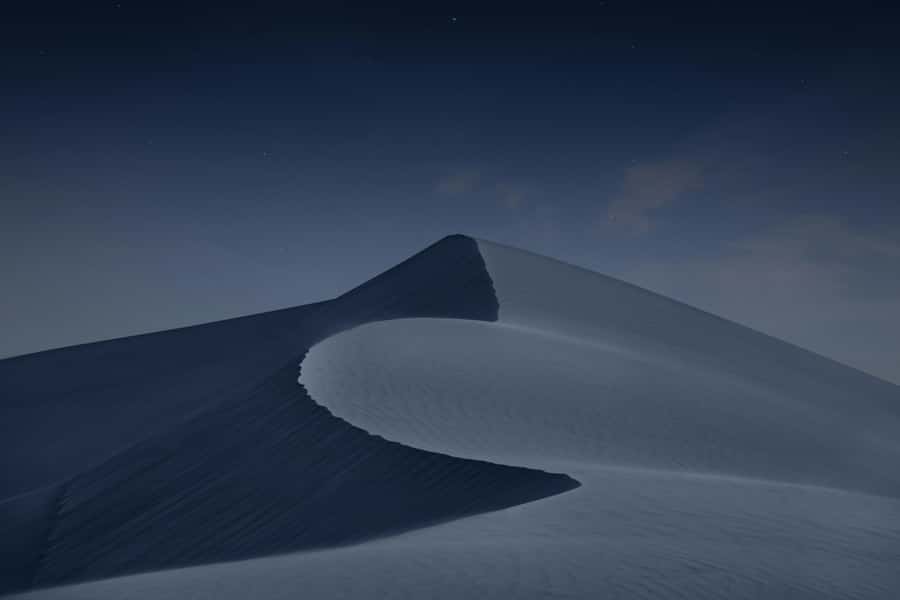 Doha: Night Desert Safari with Camel Ride and Sandboarding - Moonlight, photos, and the Inland Sea