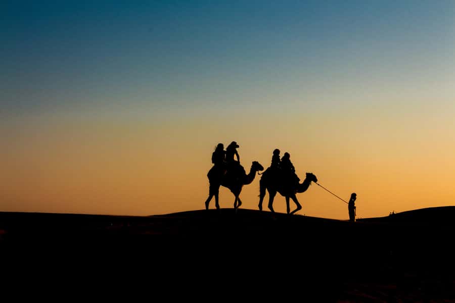 Doha: Night Desert Safari With Stargazing and Inland Sea - Sandboarding from the high dunes