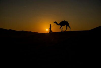 Night Desert Safari With Stargazing and Inland Sea