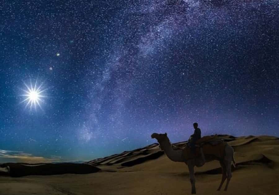 Doha: Night Desert Safari with Stargazing & Camel Ride - The 100-minute dune-bashing run