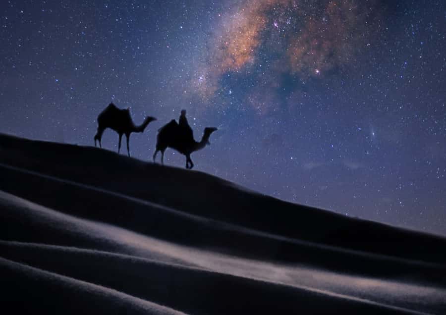 Doha: Night Desert Safari with Stargazing & Camel Ride - Who will enjoy this safari most?