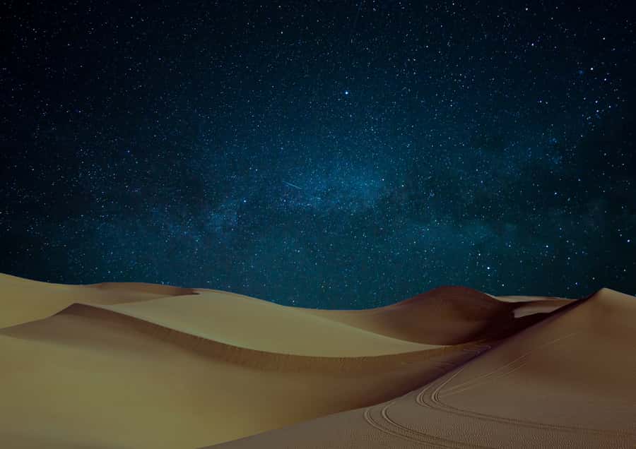 Doha: Night Desert Safari with Stargazing & Camel Ride - What to bring and how to prepare