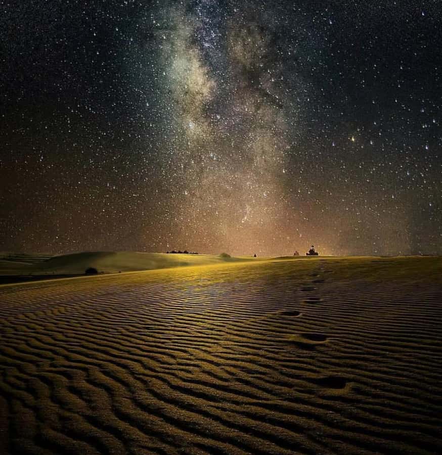 Doha: Night Safari with Dune Bashing and Camel Ride - Key points before you book