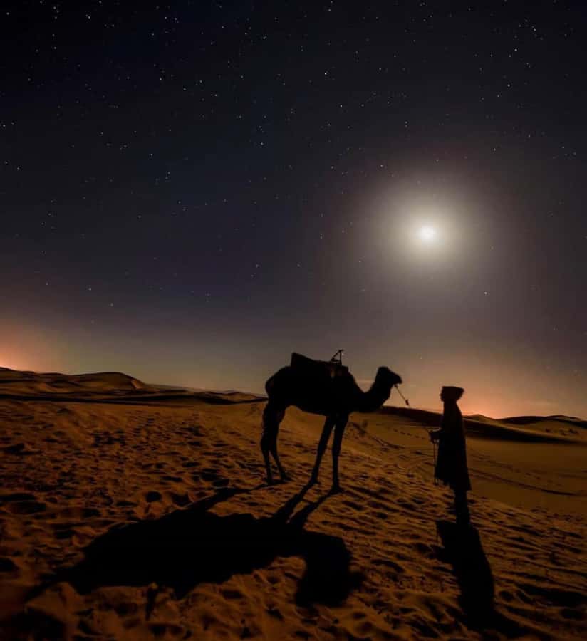 Doha: Night Safari with Dune Bashing and Camel Ride - What the 45-minute dune bashing ride feels like