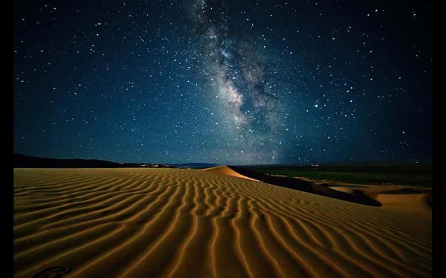 Doha: Night Safari with Dune Bashing and Camel Ride - What the $55 price really covers
