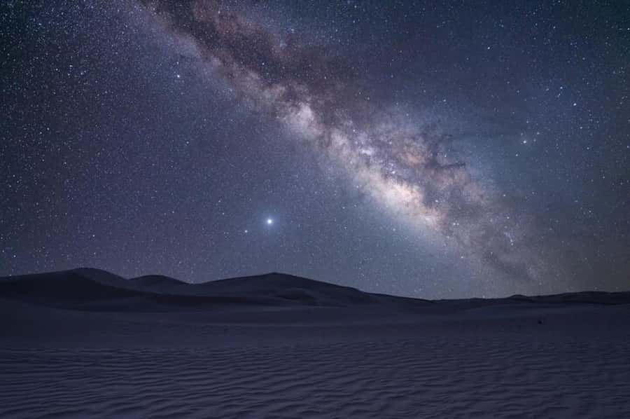 Doha: Night Safari with Dune Bashing and Camel Ride - Who should book this desert outing