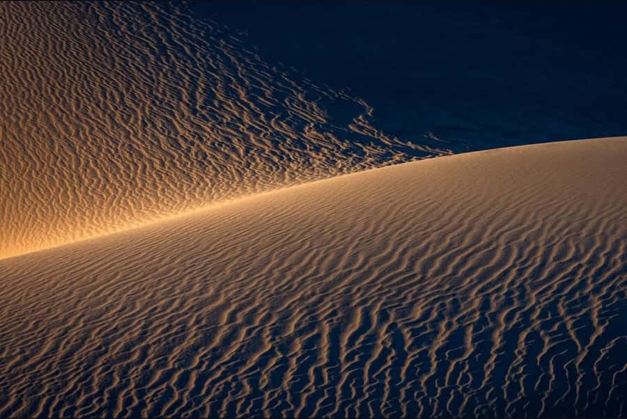 Doha: Nighttime Desert Safari with Dune Bashing & Camel Ride - The night walk and astronomy lesson