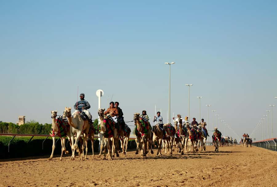 Doha: North and West of Qatar Private Combo Tour - Mushroom Rock and the western desert