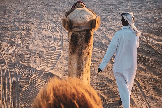 Doha Overnight Desert Safari dinner/breakfast included - Starting at Sealine Beach