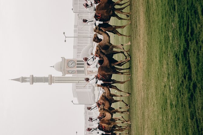 Doha Private City Tour - Souq Waqif is the best place to slow down