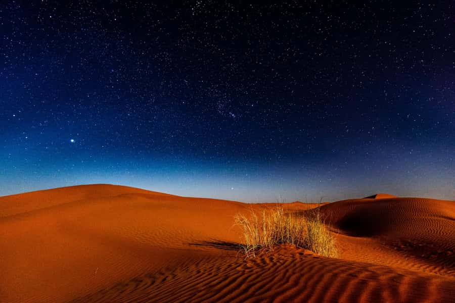 Doha: Private Desert Safari at Night with Stargazing - The 45-minute night drive across the dunes
