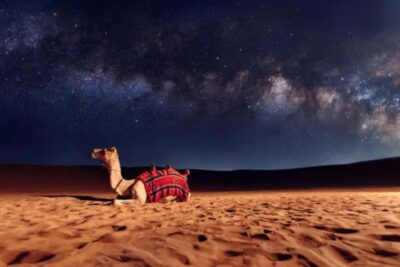 Private Desert Safari at Night with Stargazing