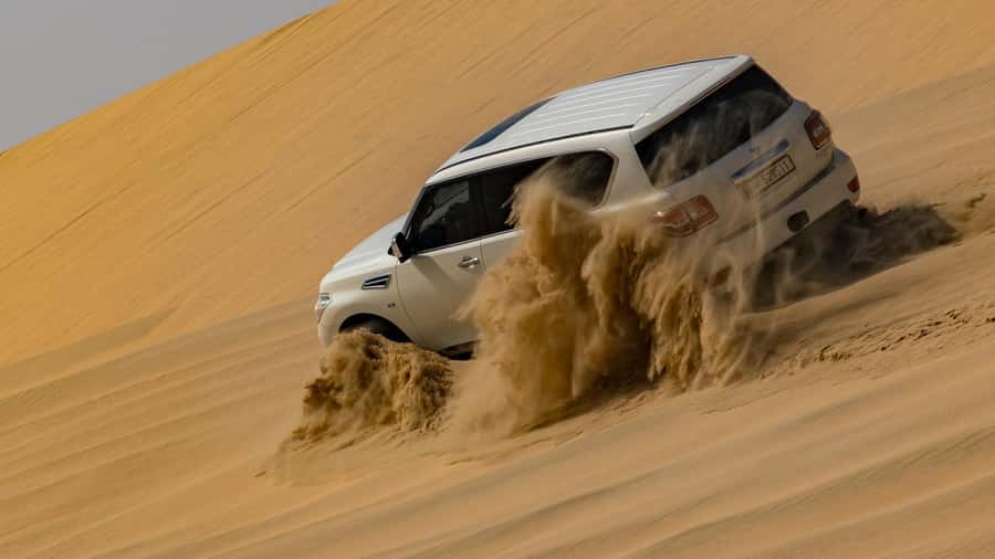 Doha:Private Desert Safari, Falcon, Sandboarding,inland sea - Falcon photographs and a taste of Qatari tradition