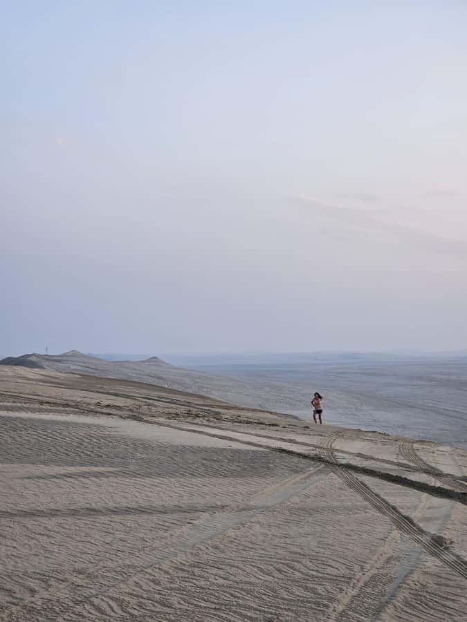 Doha:Private Desert Safari, Falcon, Sandboarding,inland sea - Dune bashing on the way to the Inland Sea