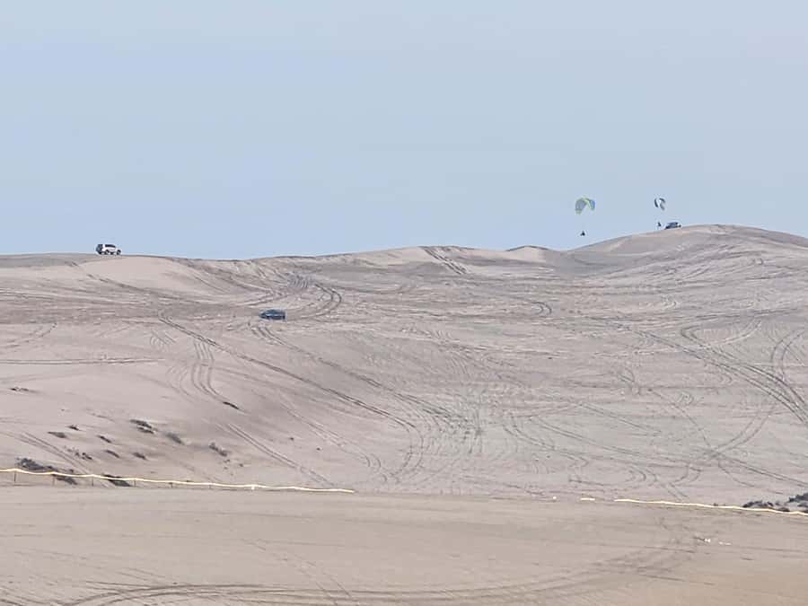 Doha:Private Desert Safari, Falcon, Sandboarding,inland sea - What the $71 price really covers