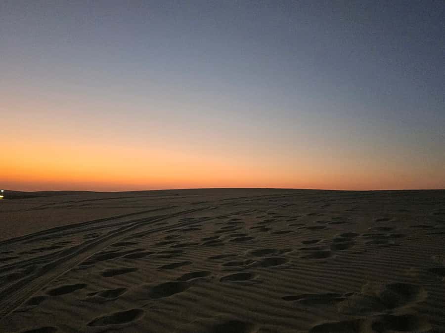 Doha Private Desert Safari, inland sea, sand boarding - Sandboarding across the loose dunes