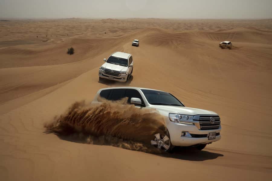 Doha : Private Desert Safari With Camel Ride & Sand Boarding - Who will enjoy this safari most