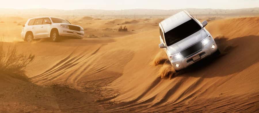 Doha : Private Desert Safari With Camel Ride & Sand Boarding - Dune bashing and sandboarding at Sealine