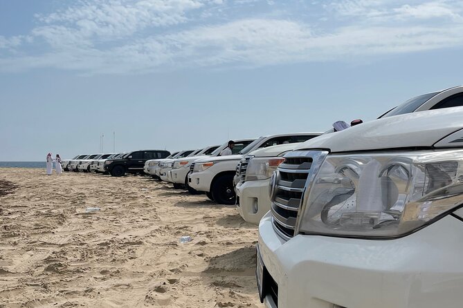 Doha: Private Half Day Desert Safari Tour in Qatar - What the private format changes