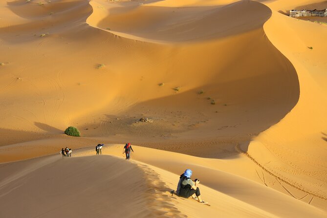 Doha Private Half-Day Guided Desert Safari Tour - Dune driving across the open desert