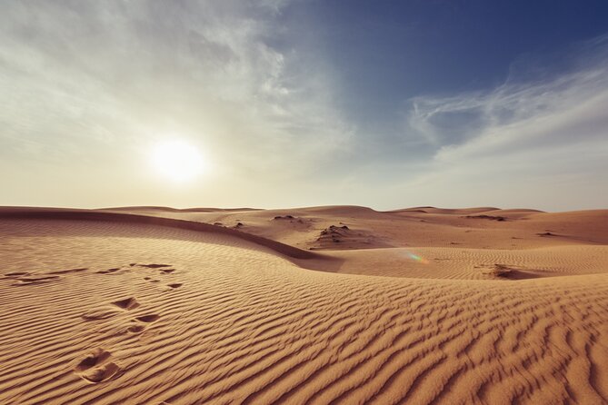 Doha Private Half-Day Guided Desert Safari Tour - Sealine Beach: camels, falcons, and tire preparation