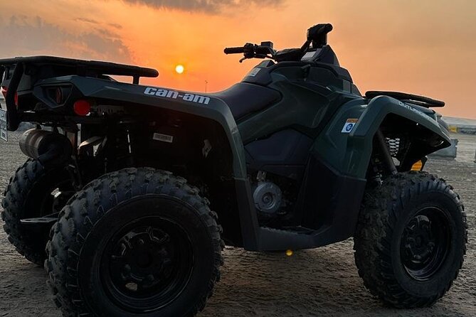 Doha-Private half day safari Sunrise/Sunset - Why a private tour changes the experience
