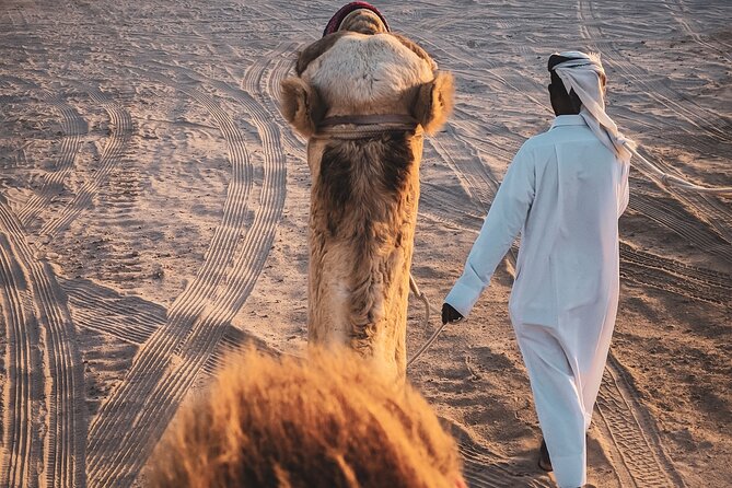 Doha-Private Half Day Safari with Horse Ride/Camel Ride/sandboard - What is included, and what is not