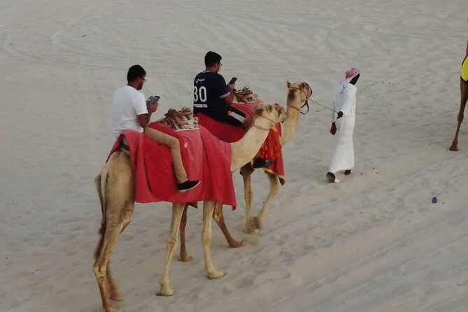 Doha-Private Half Day Safari with Horse Ride/Camel Ride/sandboard - Why the private format matters