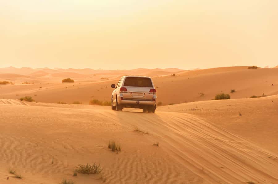 Doha: Private NIGHT desert safari with free camel ride - Should you book it?