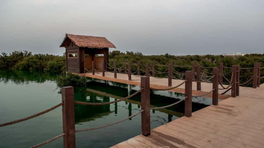 Doha : Private North of Qatar Tour, Zubara Fort & Mangroves - Al Khor harbor, beaches, and the fish market