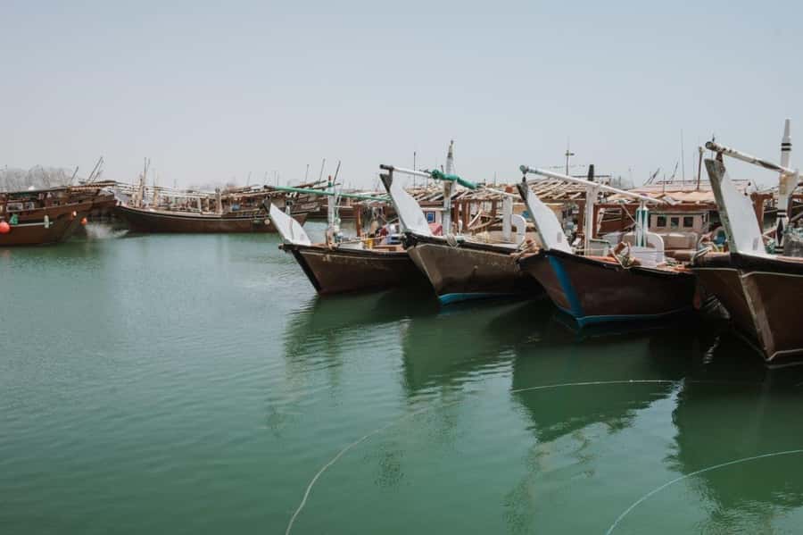 Doha : Private North of Qatar Tour, Zubara Fort & Mangroves - Is $64 per person good value?
