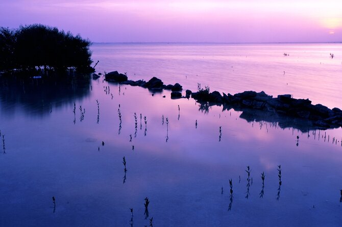 Doha Private North Qatar Tour, Mangroves and Al Zubarah Fort - Why northern Qatar is worth your time