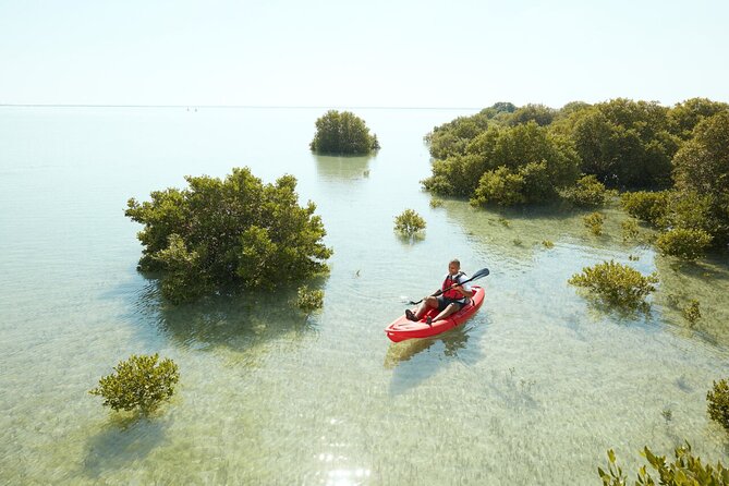 Doha Private North Qatar Tour, Mangroves and Al Zubarah Fort - Purple Island shows an older side of Qatar