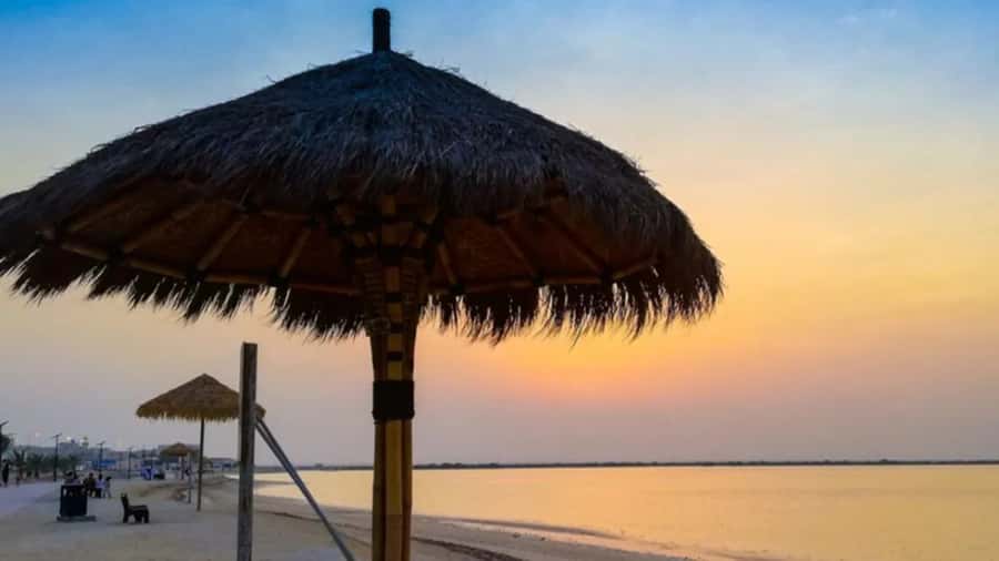 Doha: Private North Qatar Tour, Mangroves, & Zubara Fort - Why North Qatar makes a worthwhile half-day trip