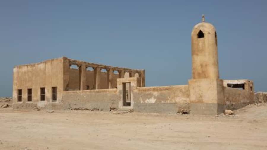 Doha: Private North Qatar Tour, Mangroves, & Zubara Fort - Purple Island and the mangrove country