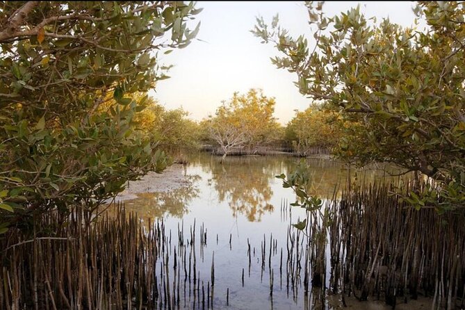 Doha Private North Tour Zubara Fort Purple Island & Mangrove - Al Jumail: a deserted coastal settlement