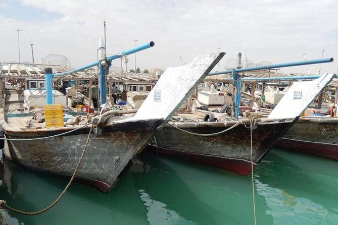 Doha Private North Tour Zubara Fort Purple Island & Mangrove - What the $69.30 price really covers