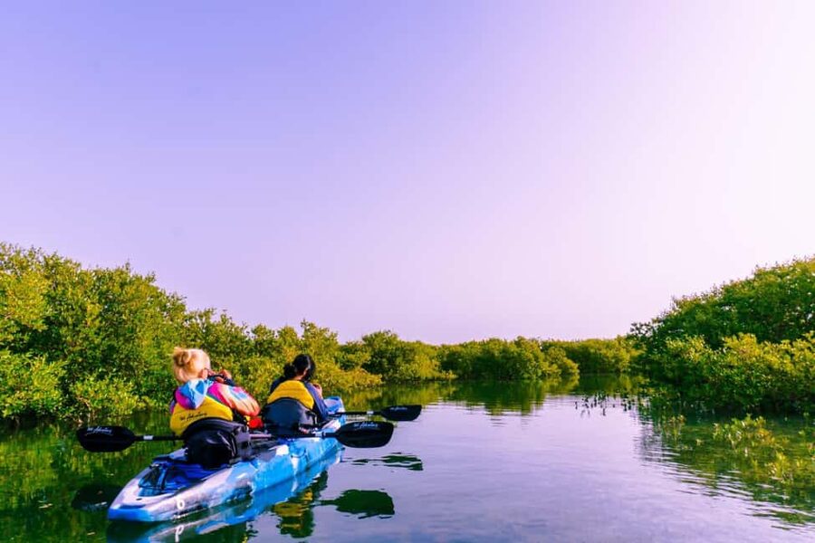 Doha: Private Purple Island Mangroves Kayaking Adventure - Key points to know before you book
