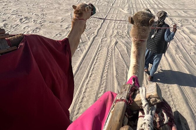 Doha Qatar ATV Quad Bike Buggy Dune Bashing and Camel Ride - Which guide style suits you best