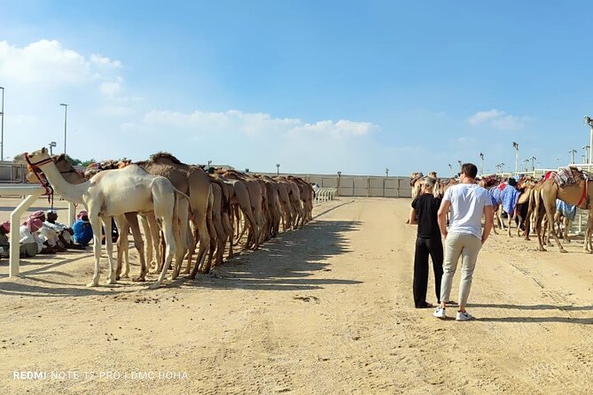 Doha, Qatar: Came Racing Track, Oryx & Sheikh Faisal Museum Tour. - Guides, communication, and the private format