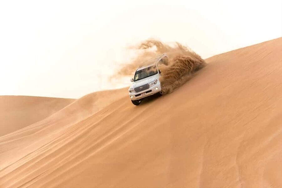 Doha Qatar : sealine adventure Camel Ride sandboard Sunset - Camel Riding, Falcon Photos, and Tea