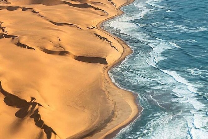 Doha Quad Bike, Dune Bashing, Camel Ride and Inland Sea Tour - Key points to know before you book