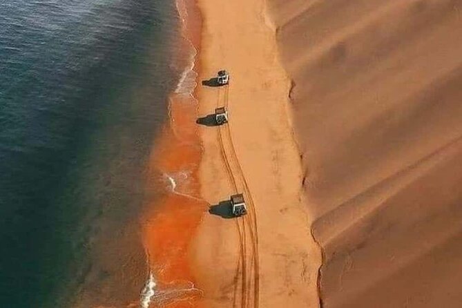 Doha Quad Bike, Dune Bashing, Camel Ride and Inland Sea Tour - Who will enjoy this four-hour desert safari?