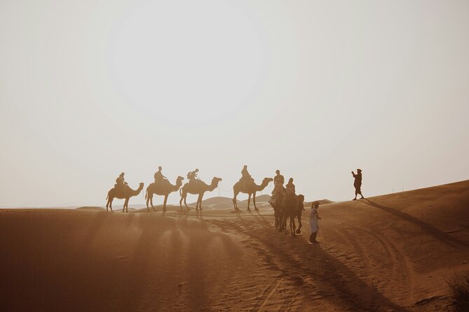 Doha Quad Bike, Dune Bashing, Camel Ride and Island Sea Tour - Leaving Doha for Mesaieed and Sealine Beach